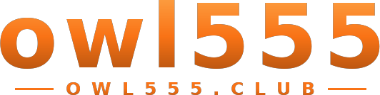 owl555 logo